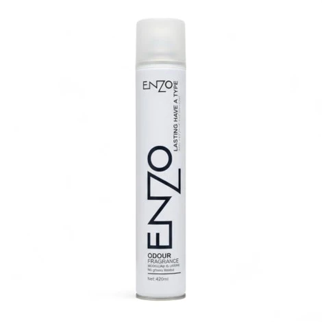 Enzo Hair Spray Lasting Have a Type 420ml (Large)
